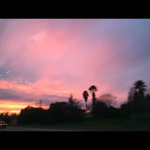 Meet your Posher, Kayden